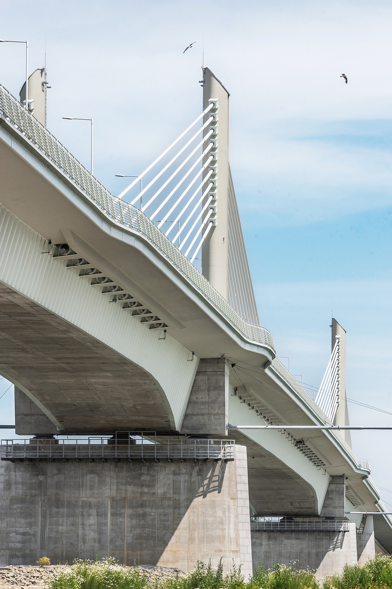 Gulyás Attila - Pál Tomori Bridge, Foktő - Cantilever slab with varying width