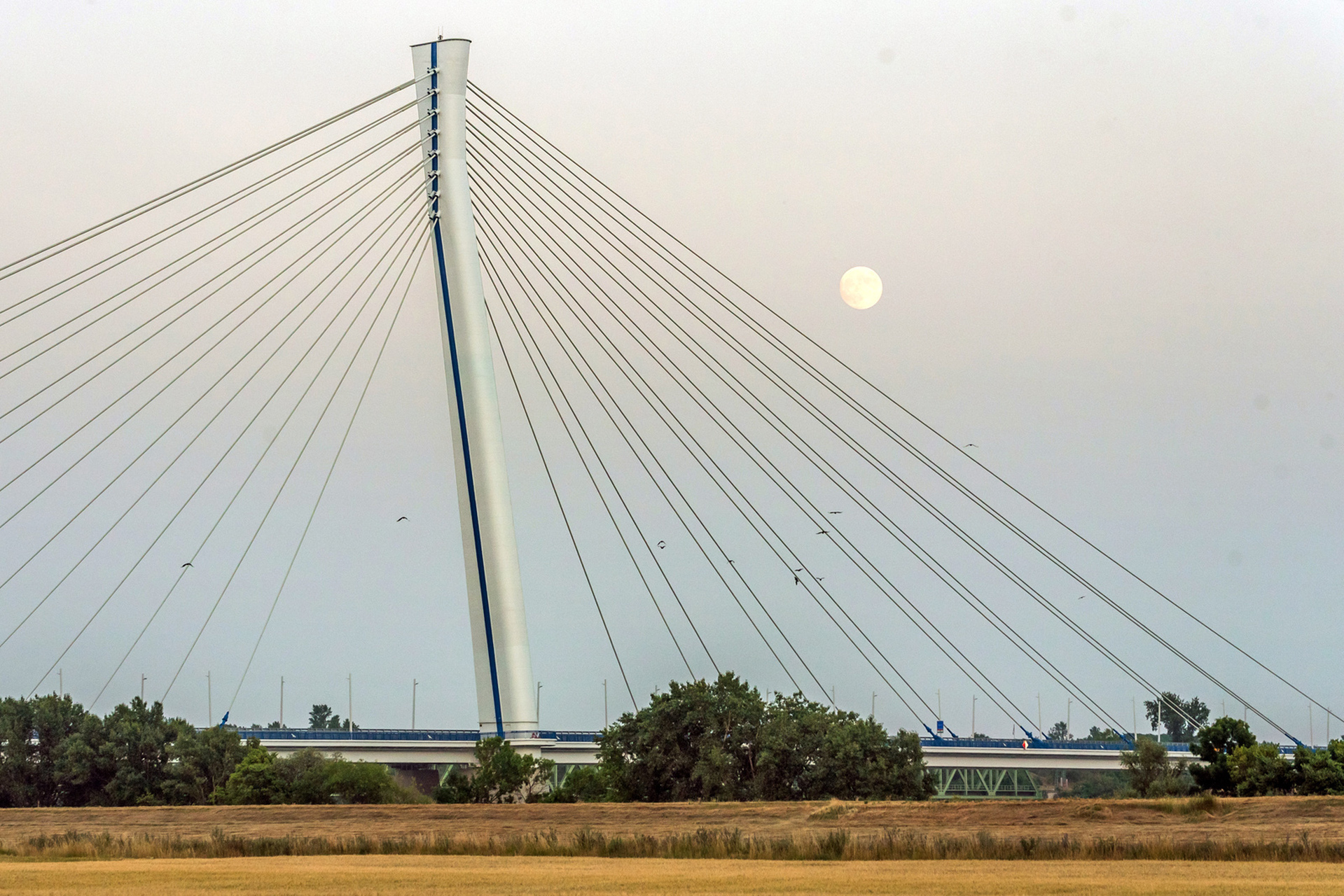 Gulyás Attila - Monostori Bridge, Komárom - 2021
