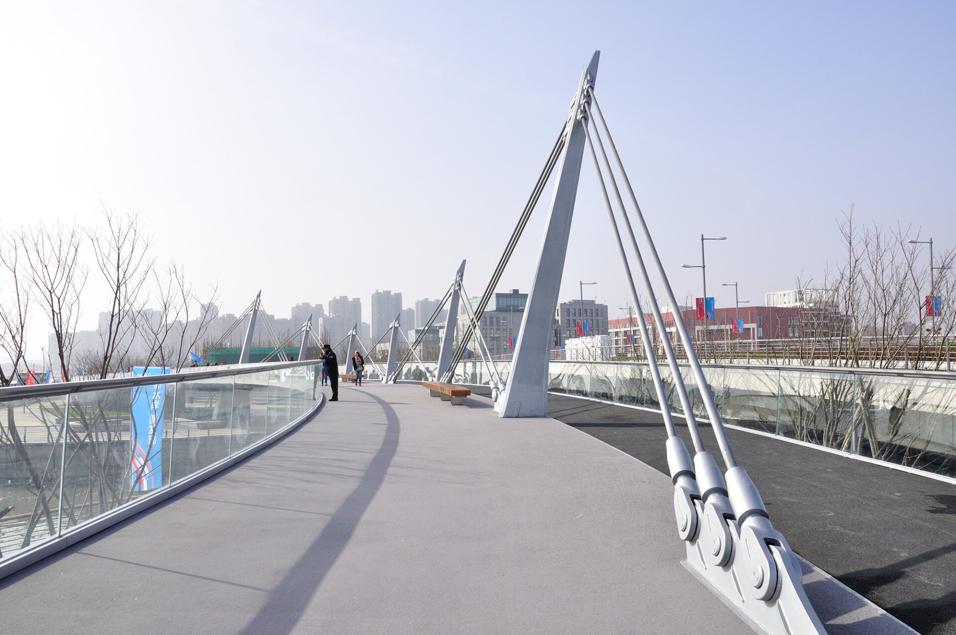 David Sommer - Zhangjiatang Bridge, Shanghai, China