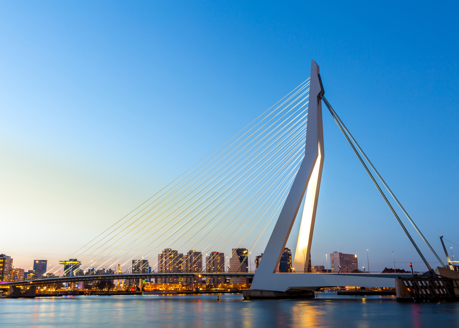 Unknown author - Erasmusbrug, Rotterdam