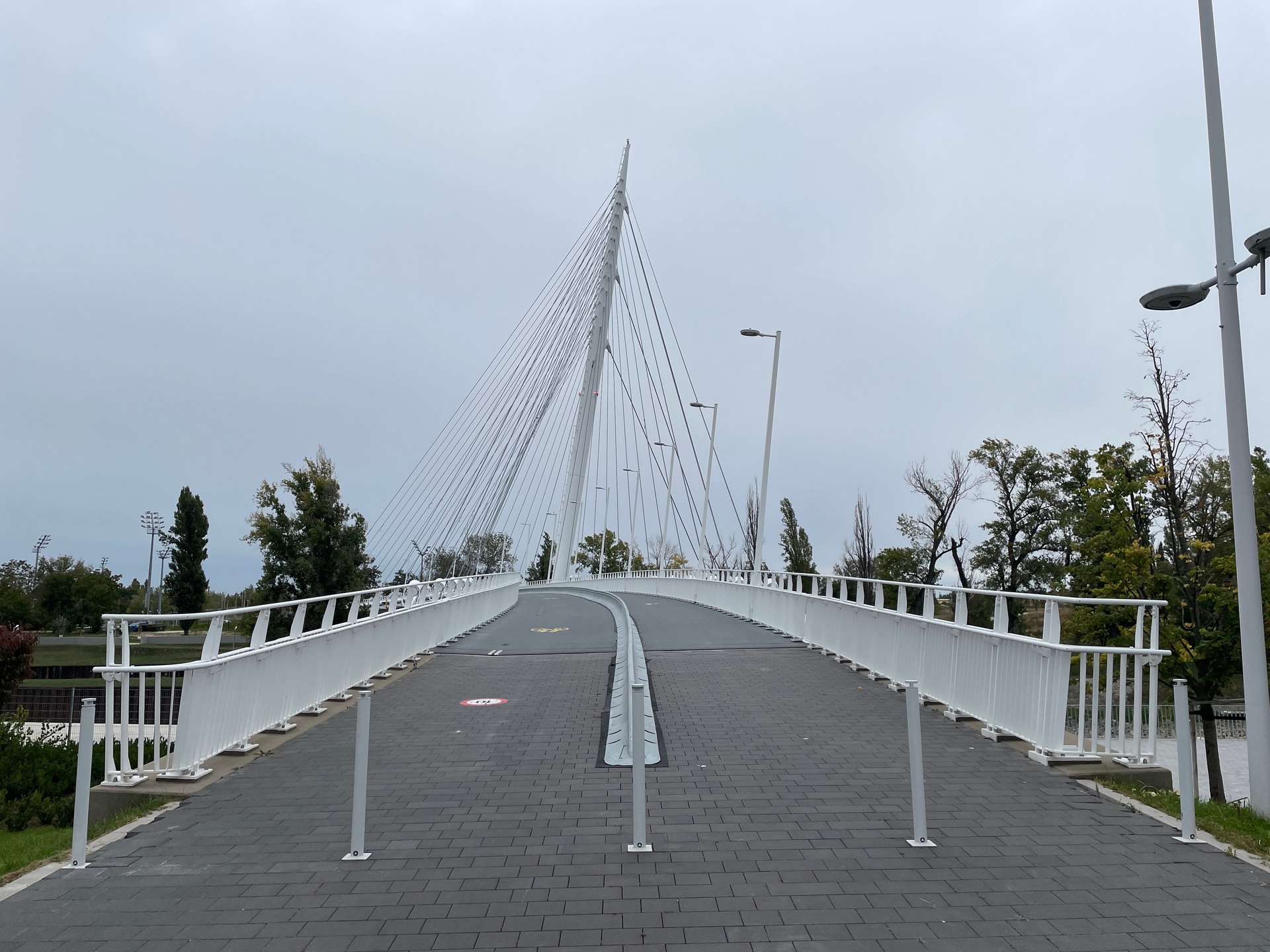 Vigh Attila - Robinson Bridge, Budapest - 2025