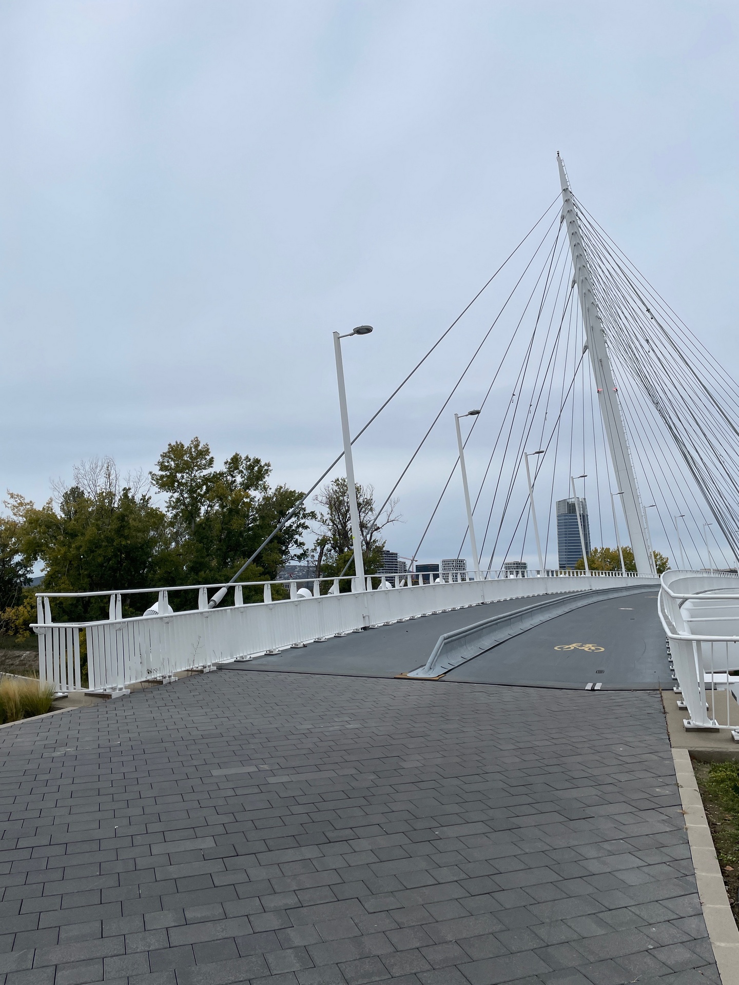 Vigh Attila - Robinson Bridge, Budapest - 2025