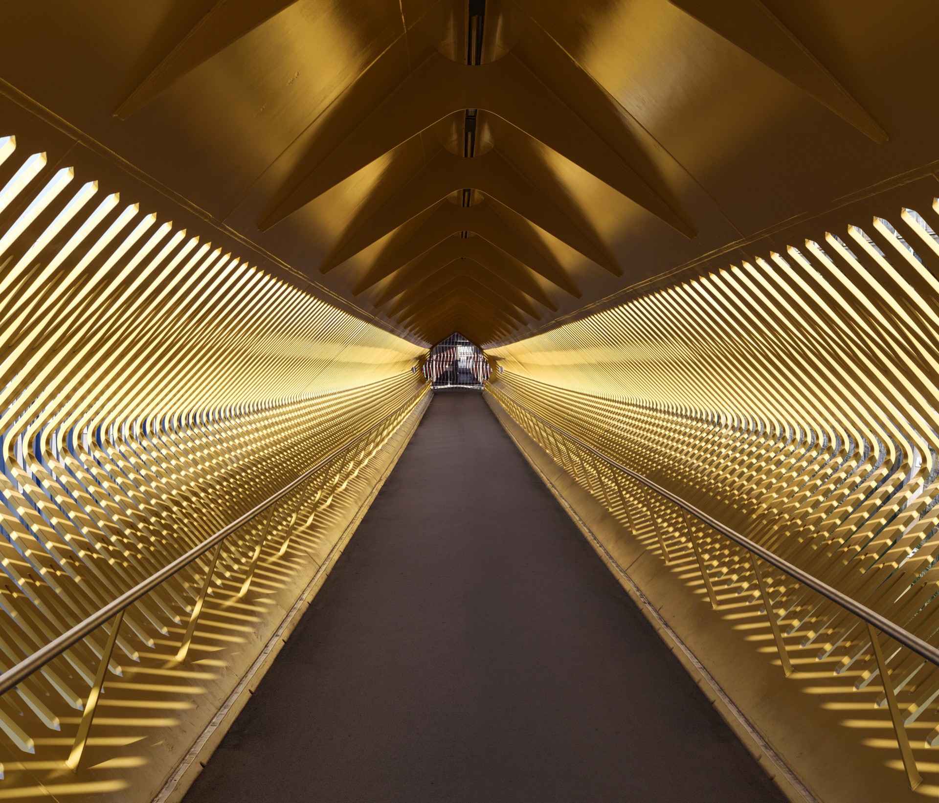 Gilles Alonso - Cruise Terminal Antwerpen
