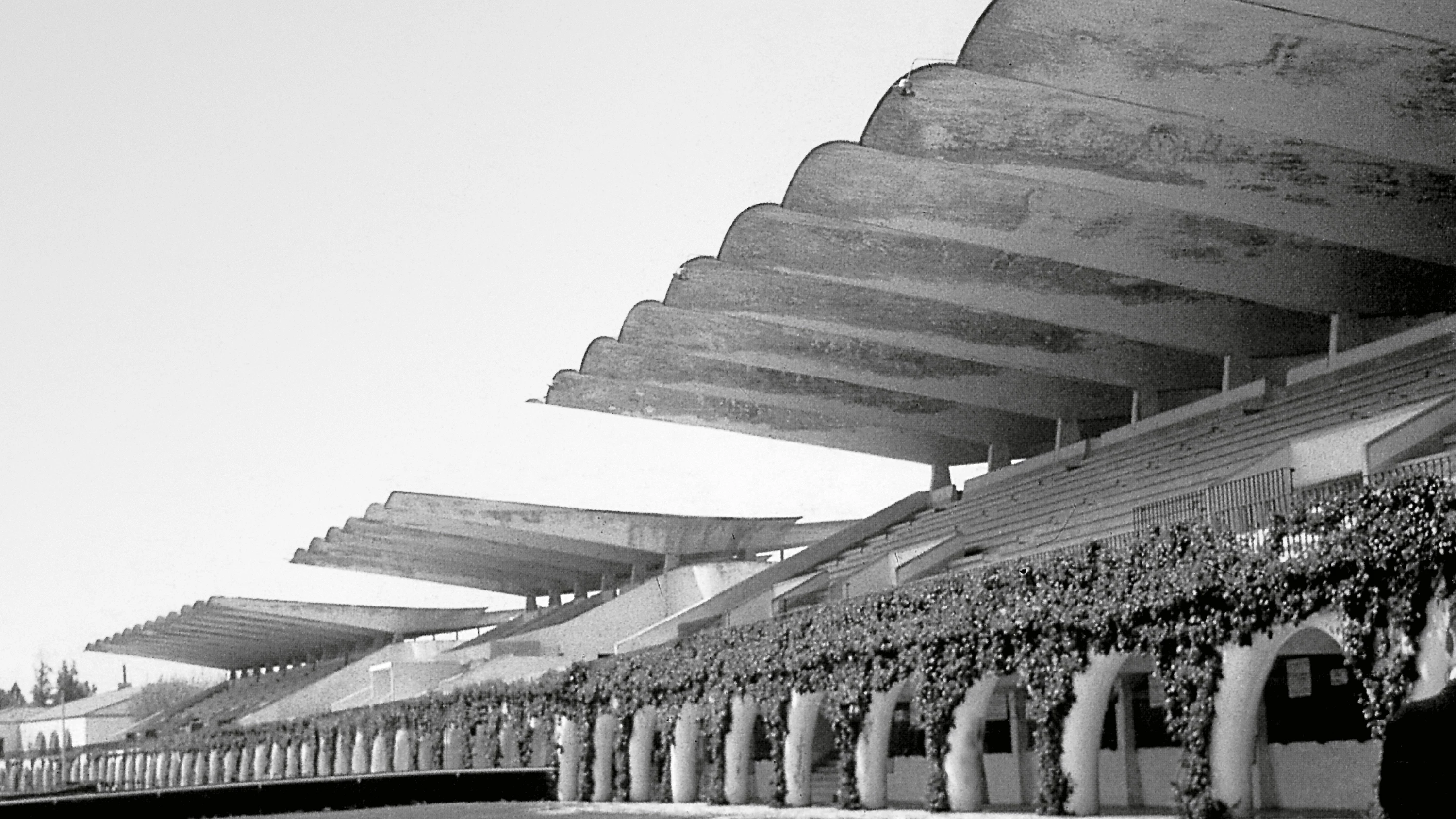 Unknown author - Hipodromo de la Zarzuela, Madrid